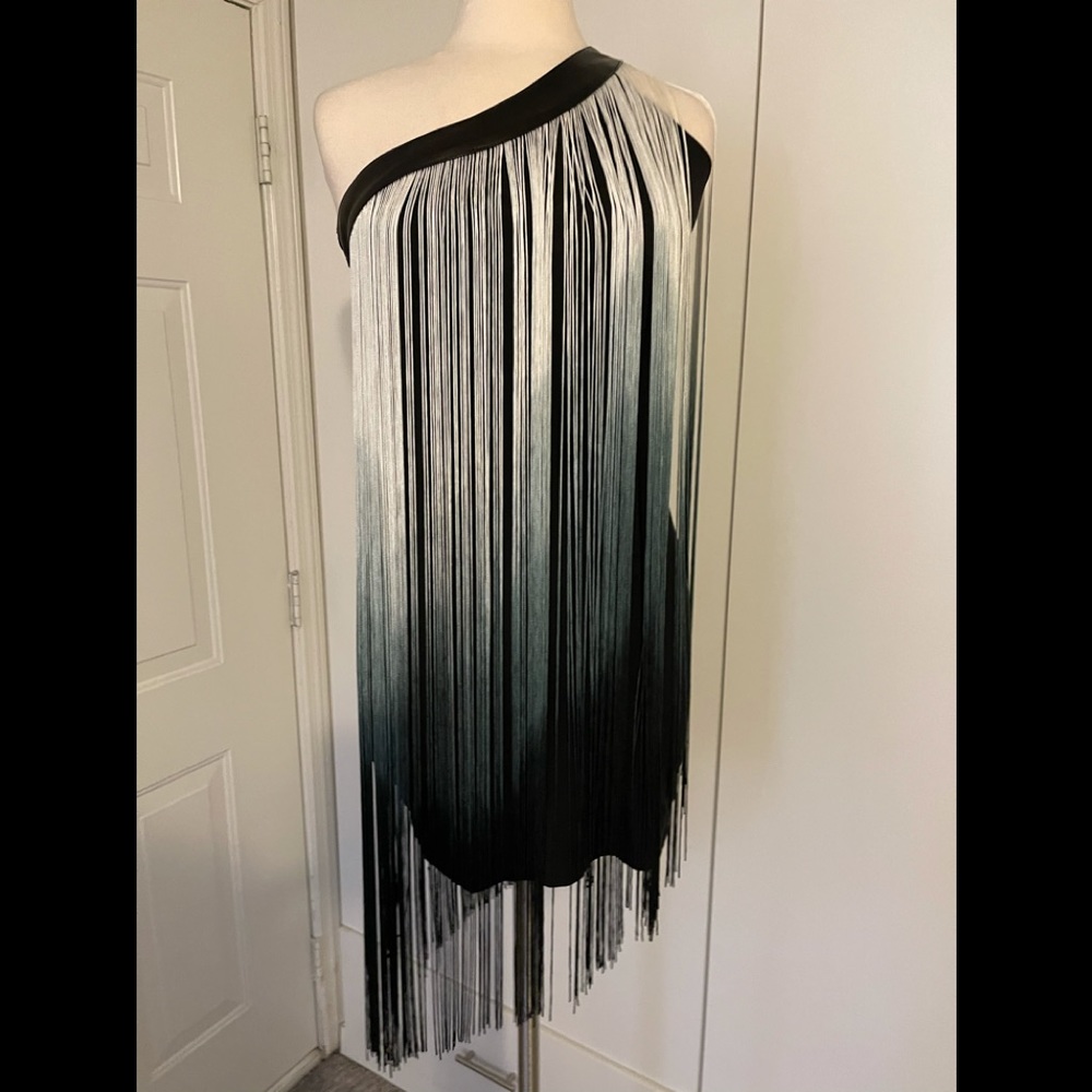 TART- fringe one shoulder dress size medium